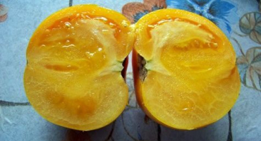 Popis odrůdy rajského královského medu, semen a pěstování